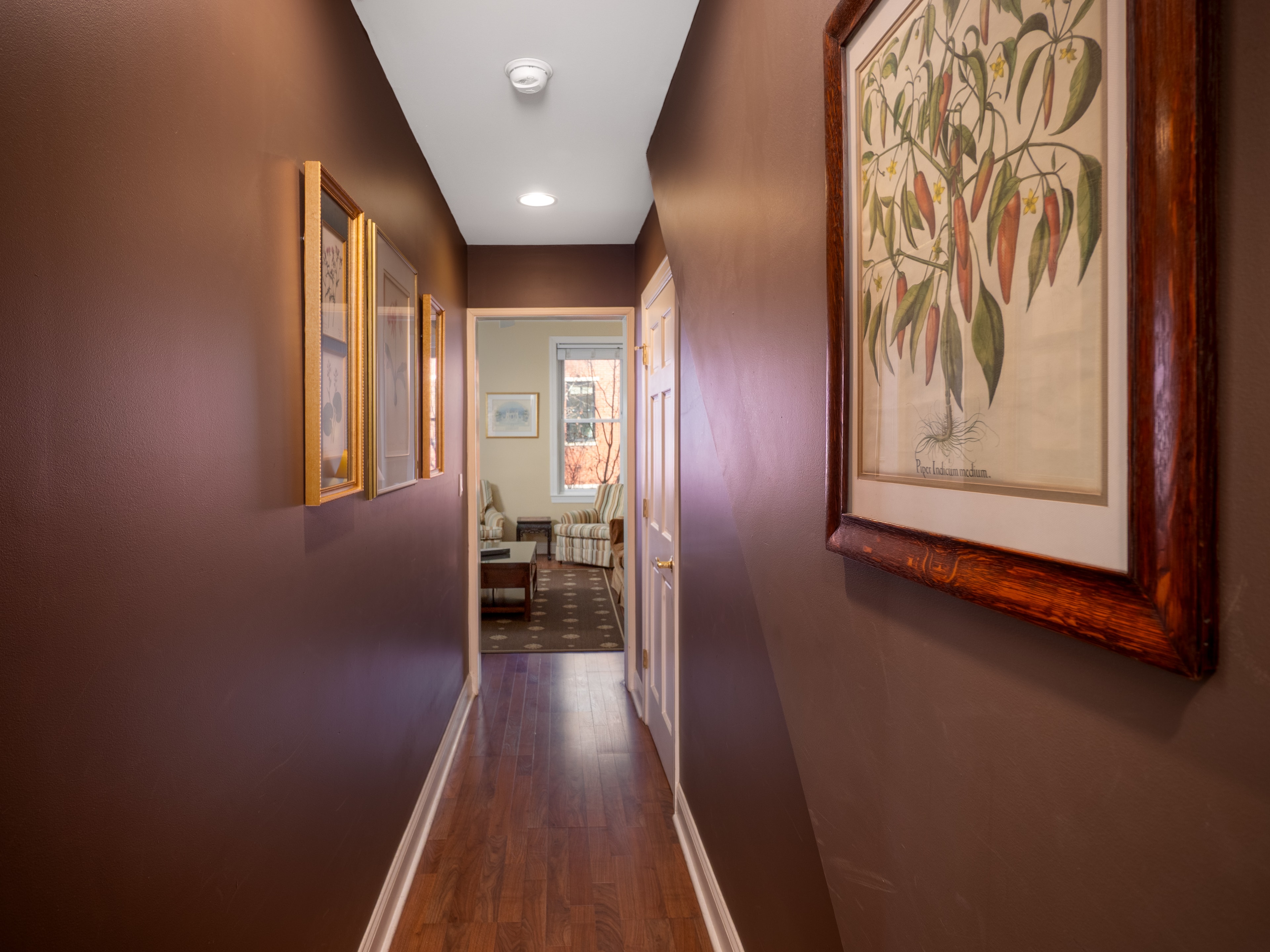 Hallway that leads to the living room area.